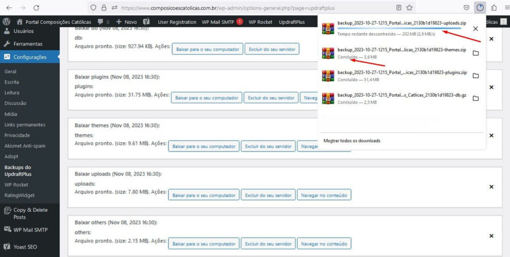 backup externo sites