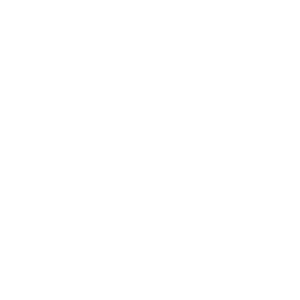 WhatsApp icom